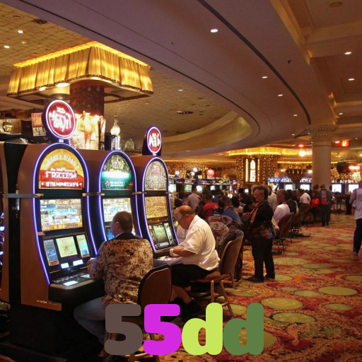  55dd