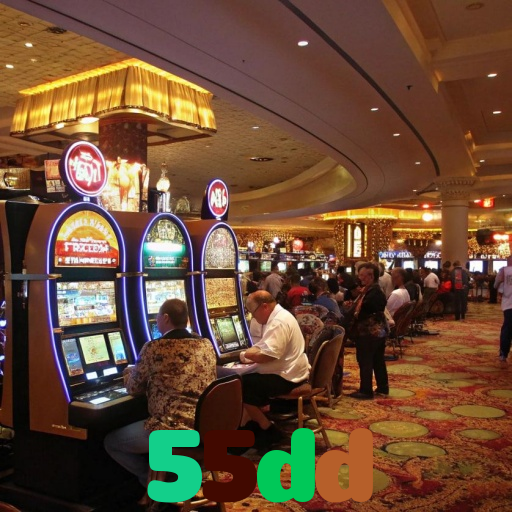  55dd