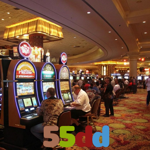  55dd
