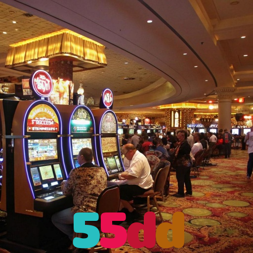  55dd